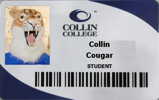 collin college student id number